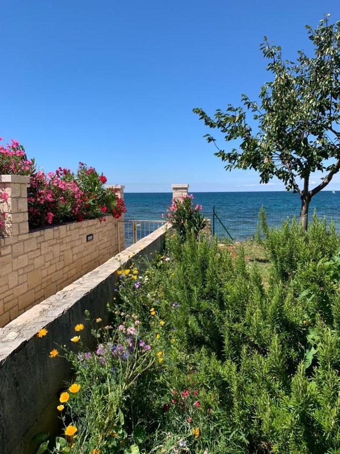 Charming Stone Cottage By The Sea ウマグ エクステリア 写真